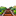 🛤